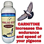 CARNILIVO BOOST 1000ML