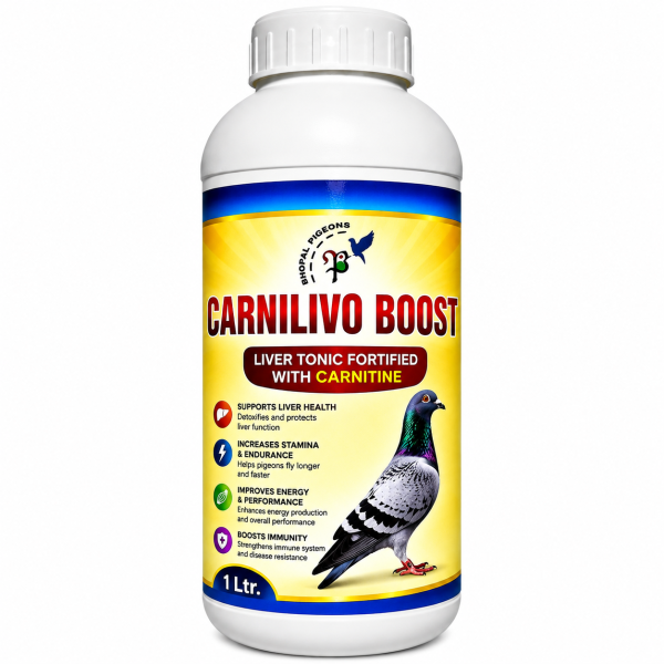 Carnilivo Boost Liver Tonic with Carnitine for Racer & Homer Pigeons | Supports Liver Health, Energy, Stamina & Endurance | 1 Litre
