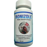 RONIZOLE 100GM