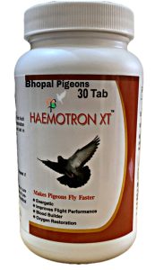 India's 1st Iron Supplement For Pigeons