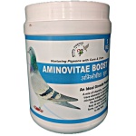 AMINOVITAE BOOST 1KG