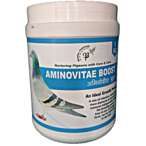 AMINOVITAE BOOST