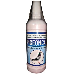 PIGEONCAL