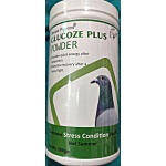 GLUCOZE PLUS 500GM