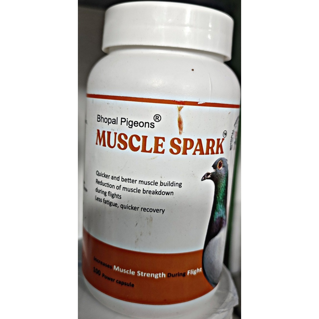 MUSCLE SPARK 100 CAP