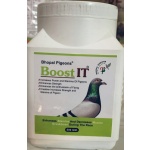 BOOST IT 500GM