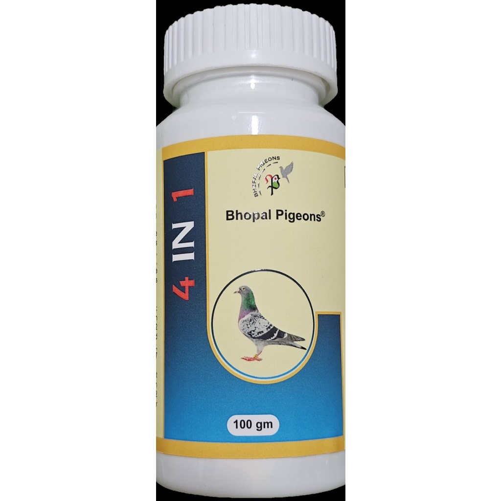 4 IN 1 100 GM POWDER