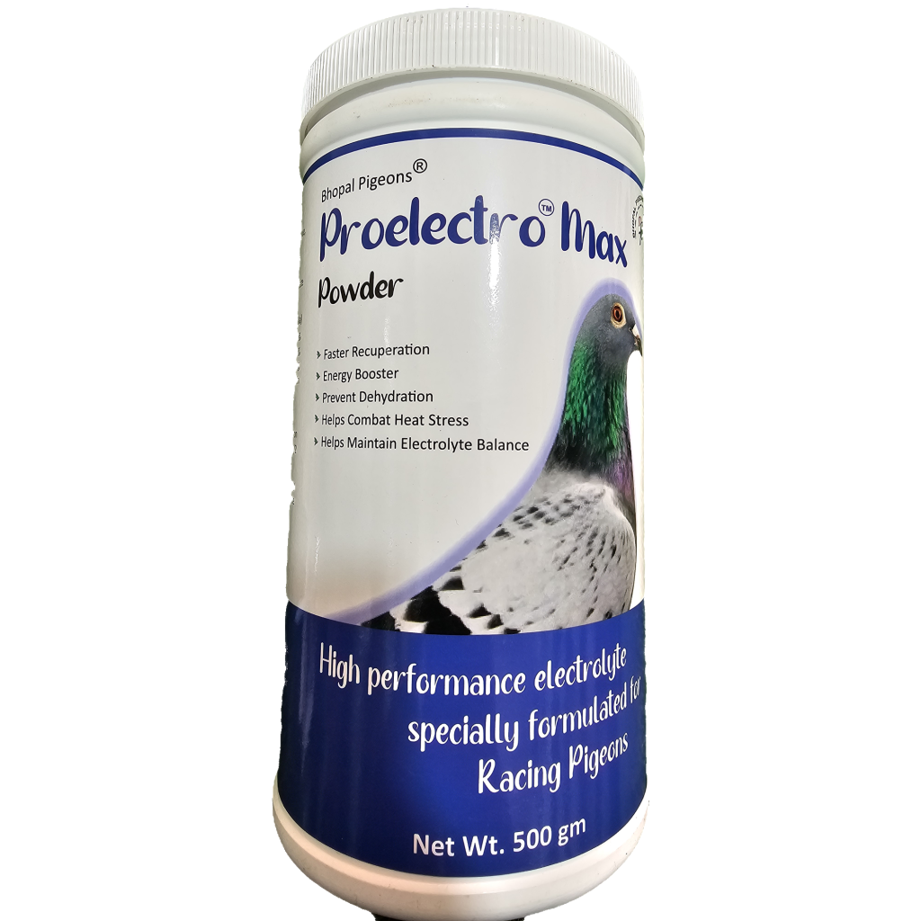 PROELECTRO® MAX 500GM