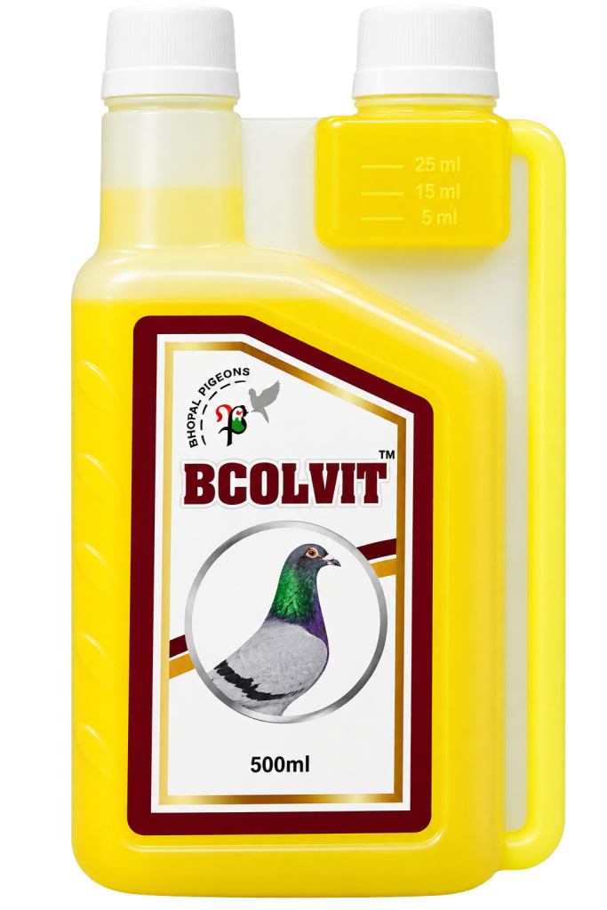 B-COLVIT Multivitamin & Recovery Supplement for Pigeons – 500 ml