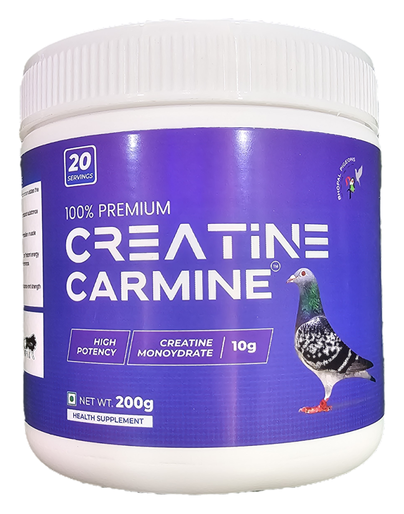 Carmine 200g – Premium Creatine Monohydrate Health Supplement for Racing & High-Flying Pigeons