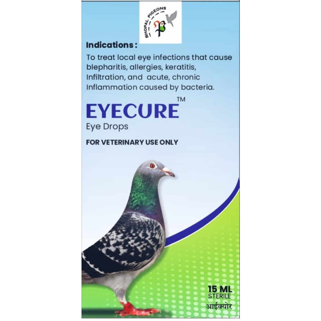 EYECURE Eye Drops 15 ML for Pigeons | Veterinary Eye Infection Drops for Bacterial Eye Infections, Redness & Inflammation