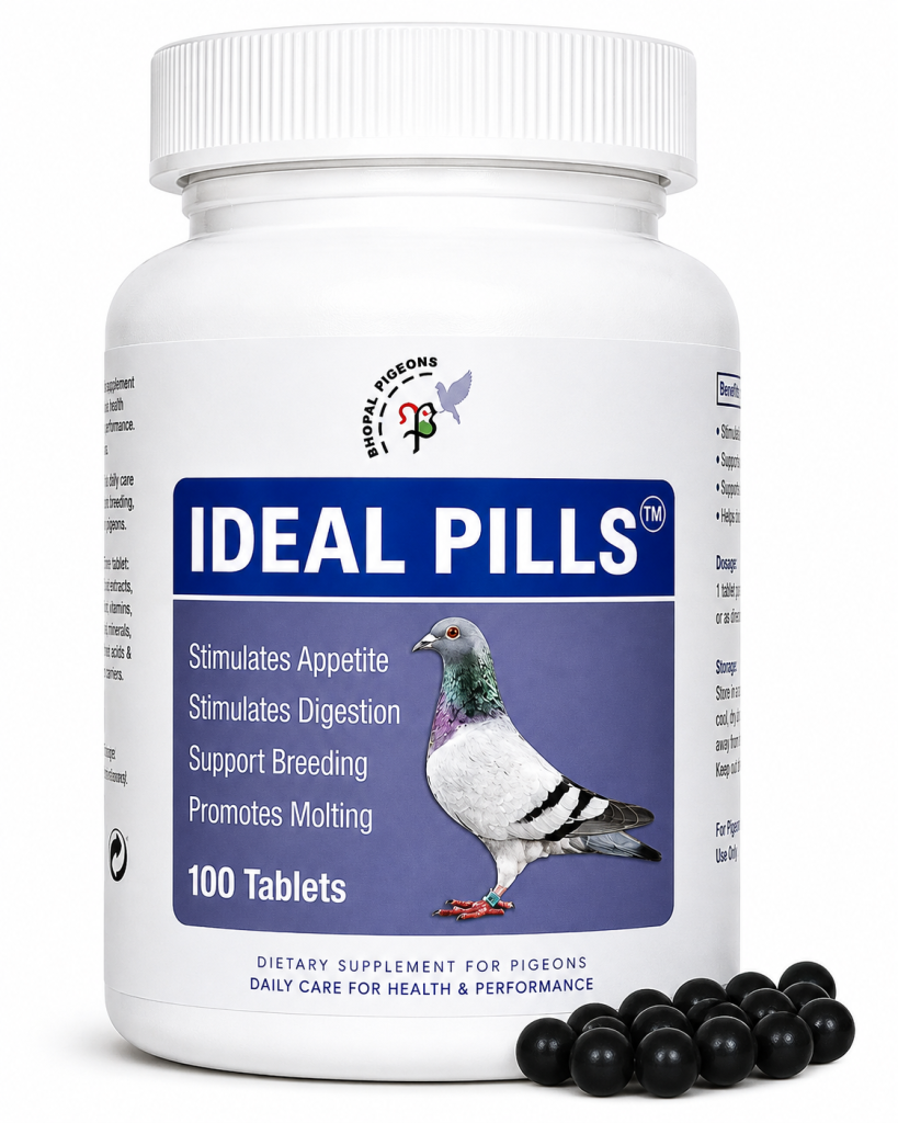 Ideal Pills for Pigeons – 100 Tablets